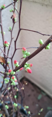 20230106_161237.jpg