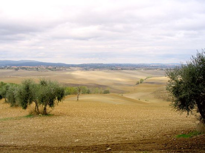 1_Blick_auf_Siena.jpg
