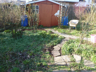 P1290099.JPG