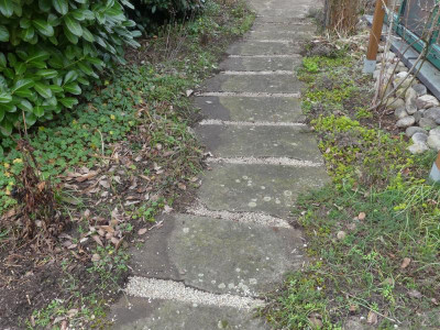P1040009.JPG