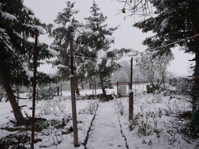 P1030206.JPG