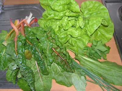 ernte180508.jpg