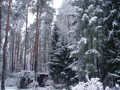 DSC00001.JPG