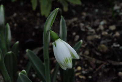 DSCF7275.JPG