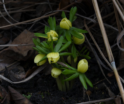 DSC_6984_DxO.jpg