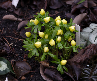 DSC_6985_DxO.jpg