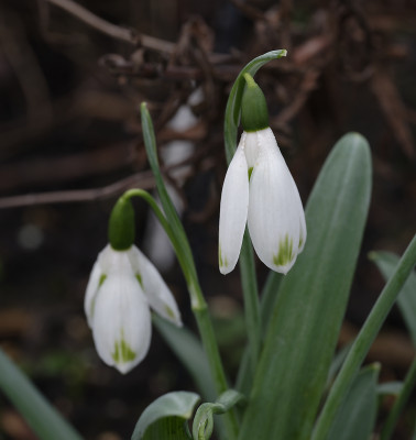DSC_6990_DxO.jpg