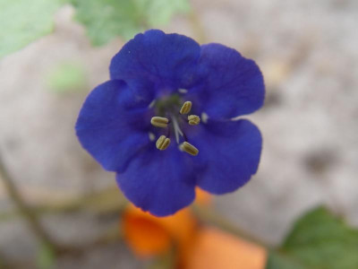 DSC00003.JPG
