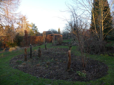 2023-01-15 Garteneinblick 1.jpg