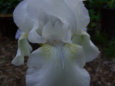 Hi_DSCN2482.jpg