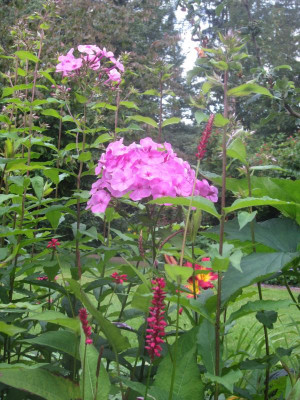 IMG_2134.JPG