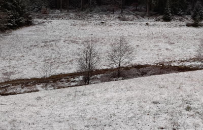 wohlkopfswiesen23januar.jpeg