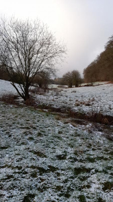 kreuzwegwiesen23januar.jpeg
