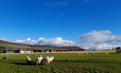 hilwartshausen23.jpg