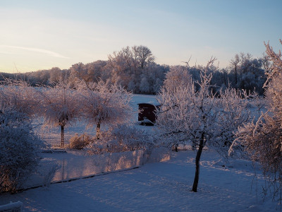 Winter 19.1.23 ue.JPG