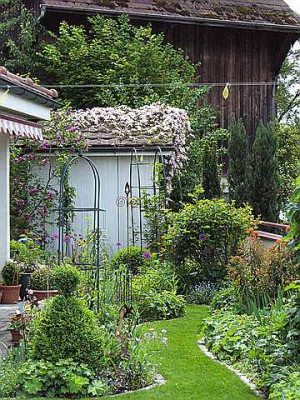 gartenhaus_clematis_montana0001.jpg