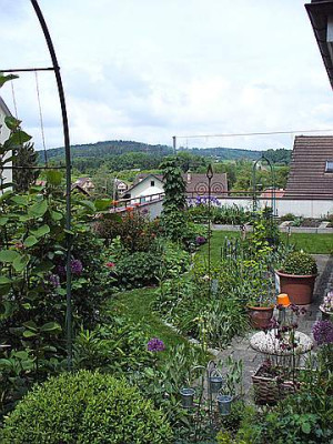 richtung_gemusebeet0001.jpg