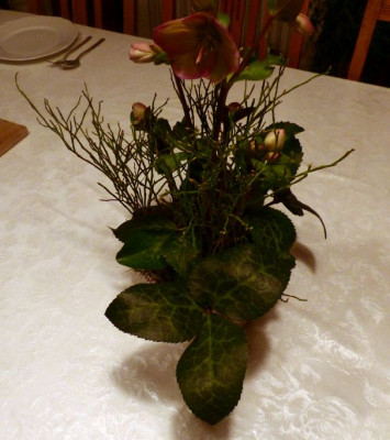 Helleborus lividus Hybrid ax.jpg
