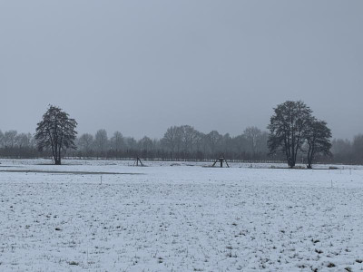 Freitag 20 Januar 2023.jpg