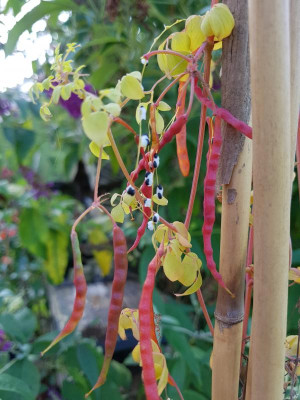 20170821_094558.jpg