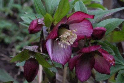 DSCF7314.JPG