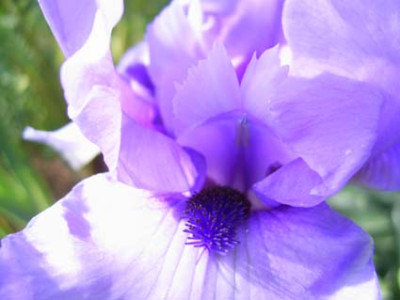 Codicil_2007_PIC_0083.JPG