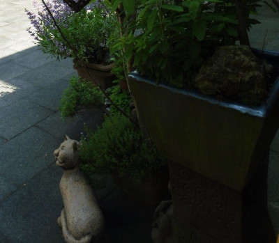 P1040363 (2).JPG