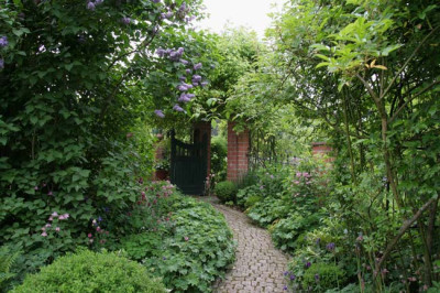 Gartenansicht-10.jpg