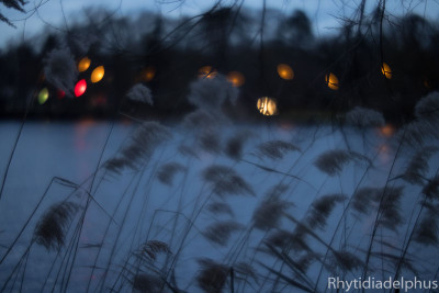 Am_See_7040_800_sRGB.jpg