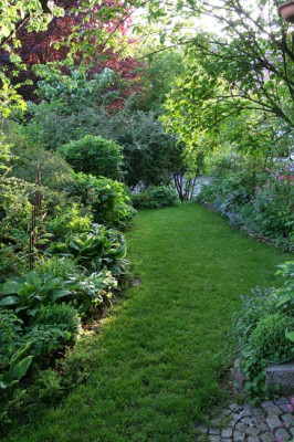 Gartenansicht-Mai-20.jpg