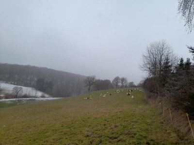 20230126_143618.jpg