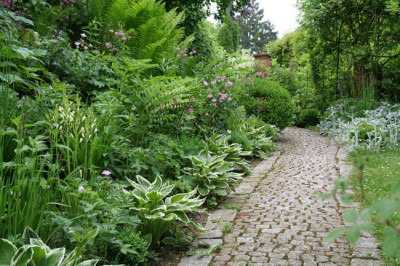 Gartenanicht-Mai-6.jpg