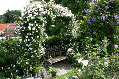 Evi-Garten0407a.jpg