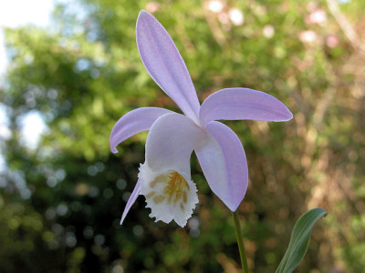 DSCN0127_u.jpg