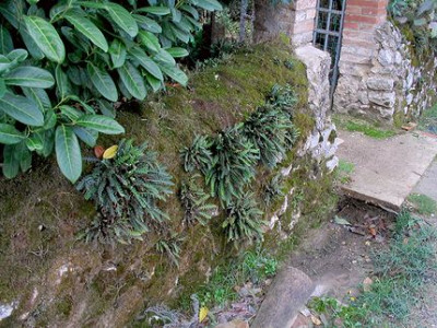 25b.jpg