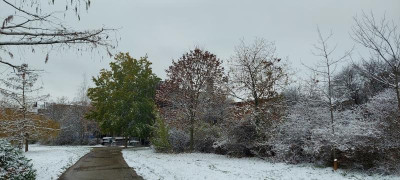 20221210_134526.jpg