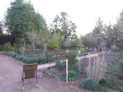 Sp_tfrost20417-4.jpg