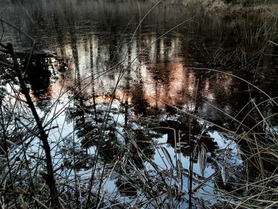 20230128_205353.jpg