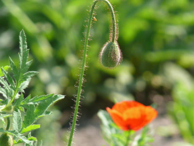 P1110538.jpg
