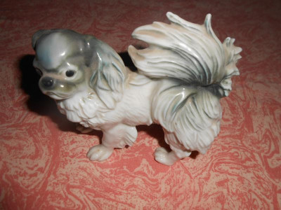 DSCN5344.JPG
