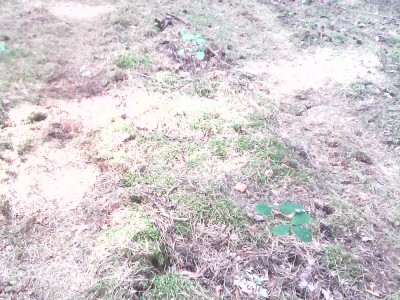 IMG0024A.jpg