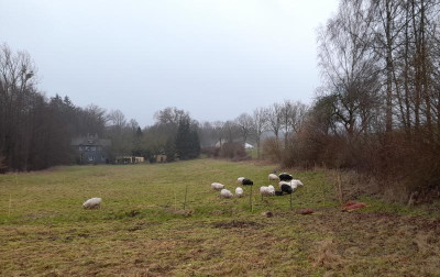 IMG-20230131-WA0004.jpeg