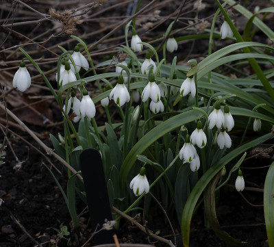 DSC_7009_DxO.jpg