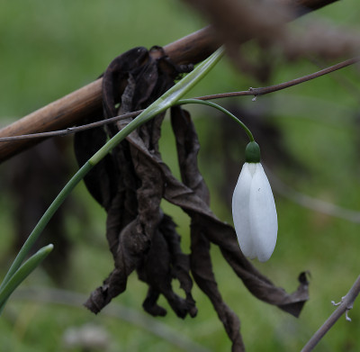 DSC_7010_DxO.jpg
