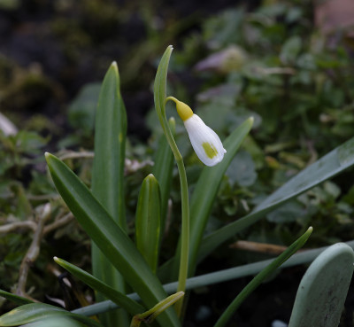 DSC_7017_DxO.jpg