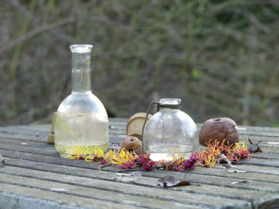 2023-02-04 Gartenimpressionen 6.jpg