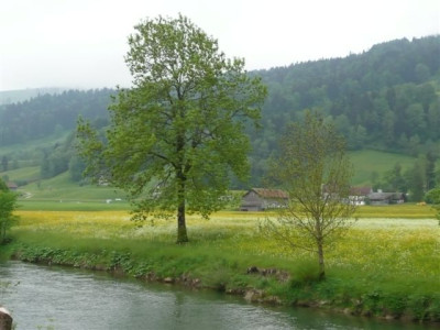 P1120288.JPG