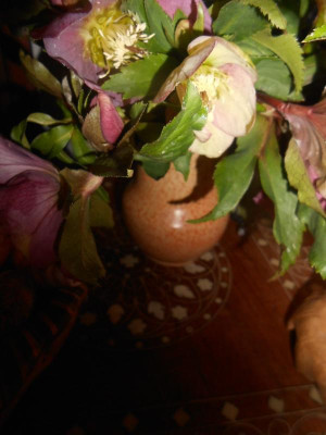 DSCN5396.JPG