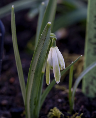 DSC_7024_DxO.jpg
