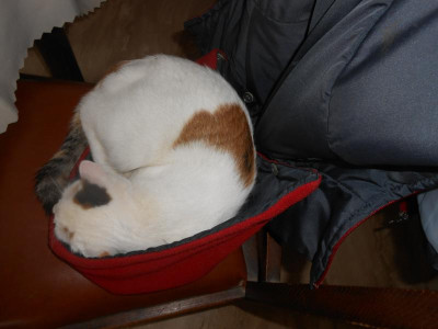 DSCN5305.JPG